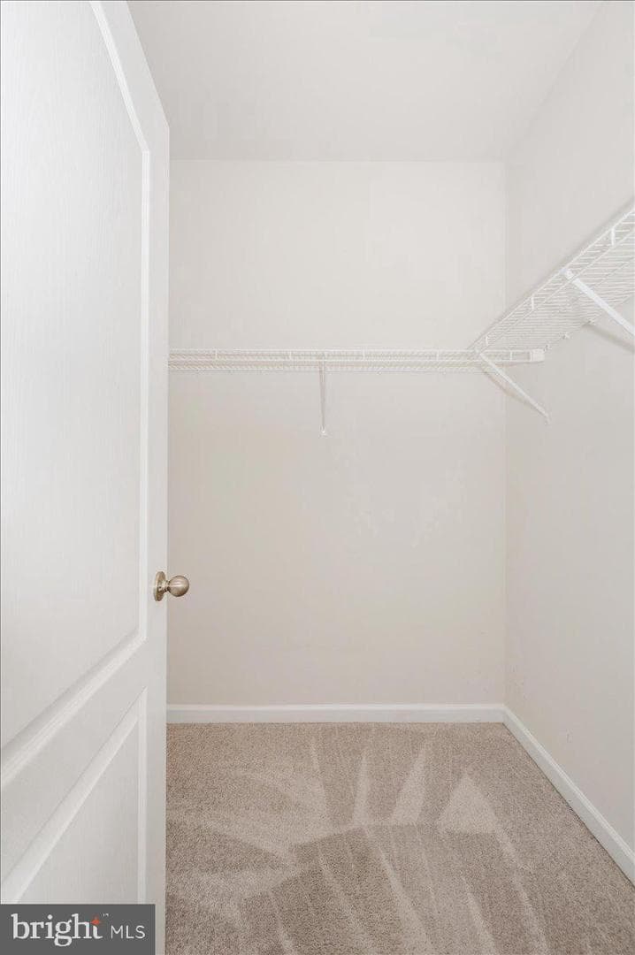 324 Spring Bank Way photo 28