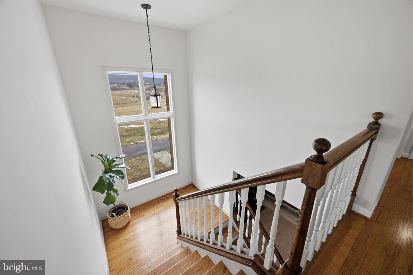 8450 Palmer Road photo 55