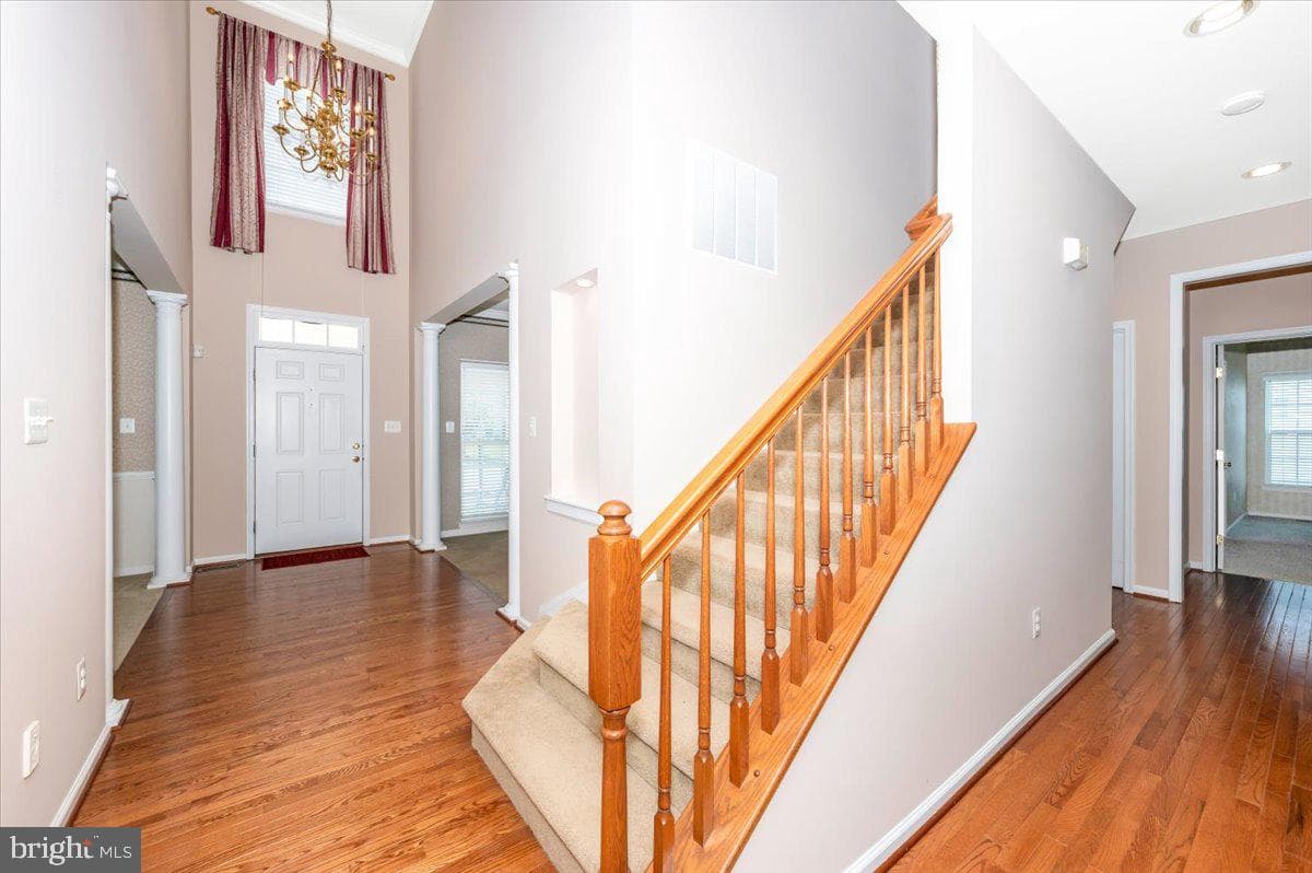 7 Afton Court photo 6