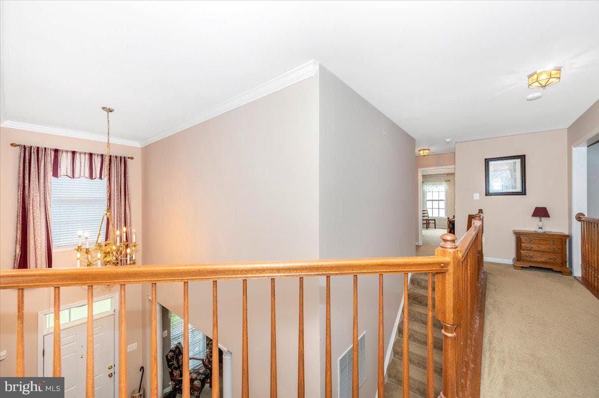 7 Afton Court photo 65