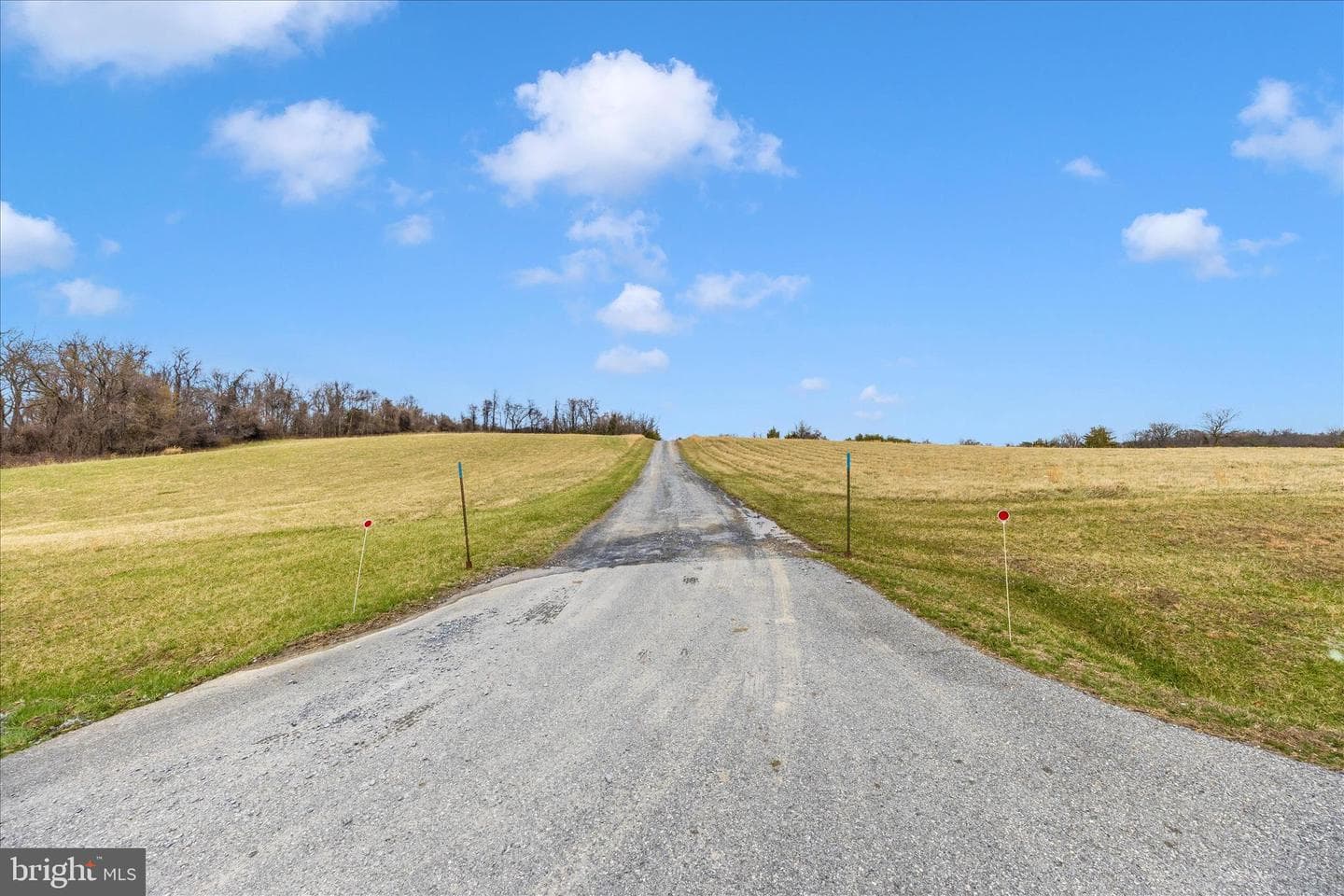 8708 Reichs Ford Road photo 53
