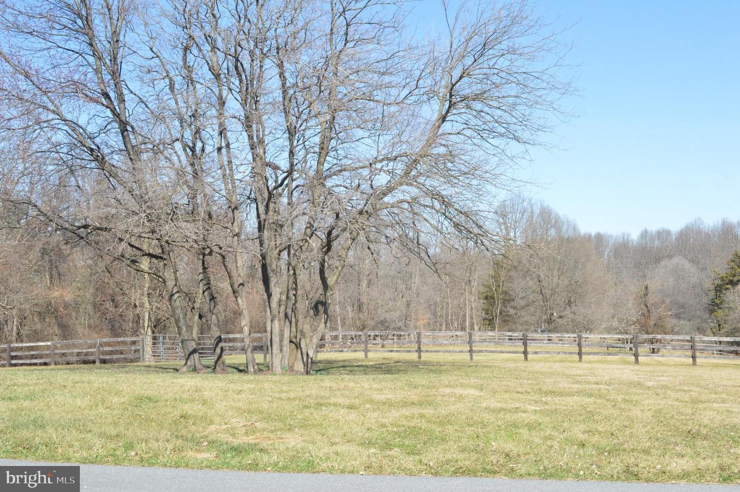8708 Reichs Ford Road photo 87