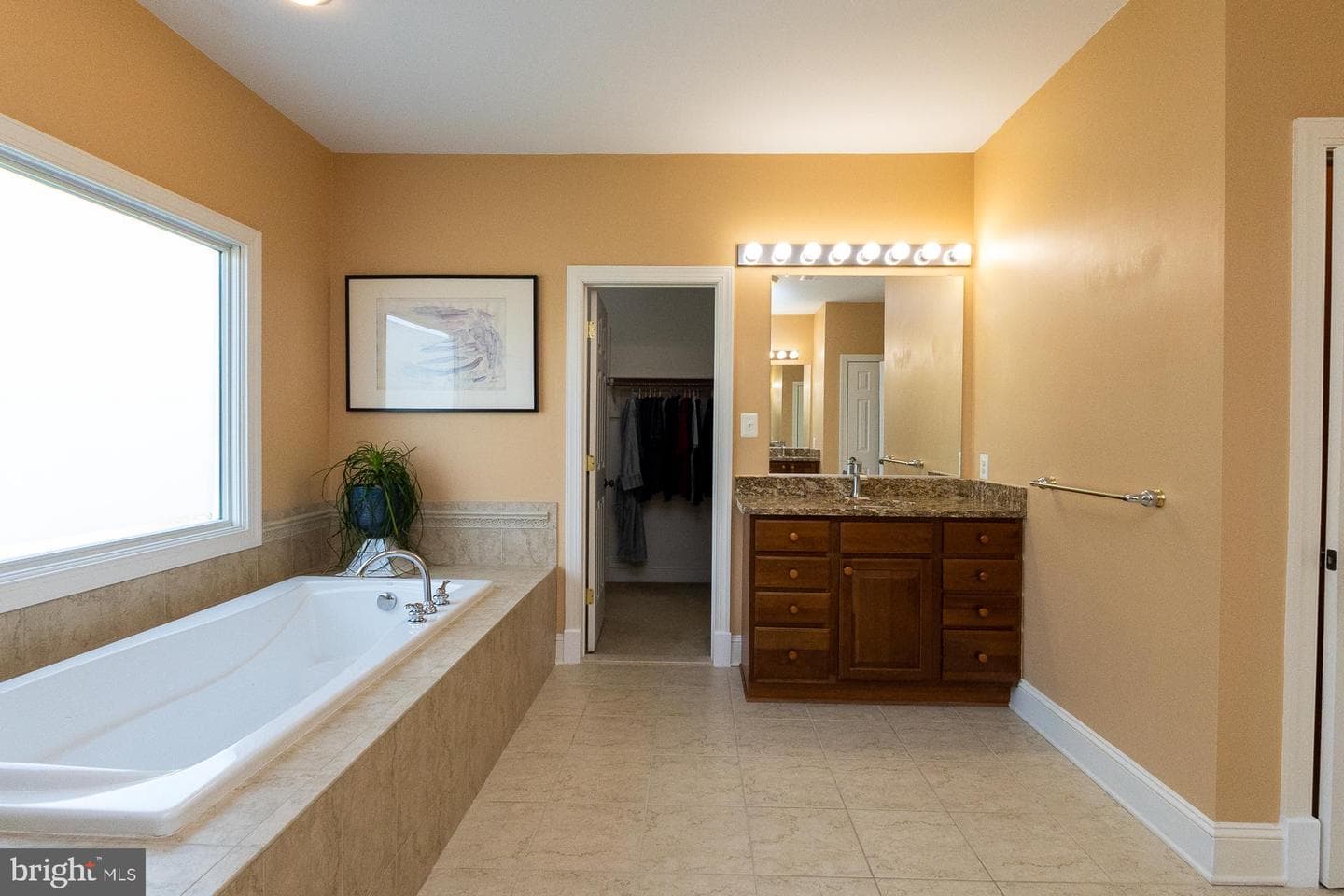 4302 Saratoga Springs Court photo 34