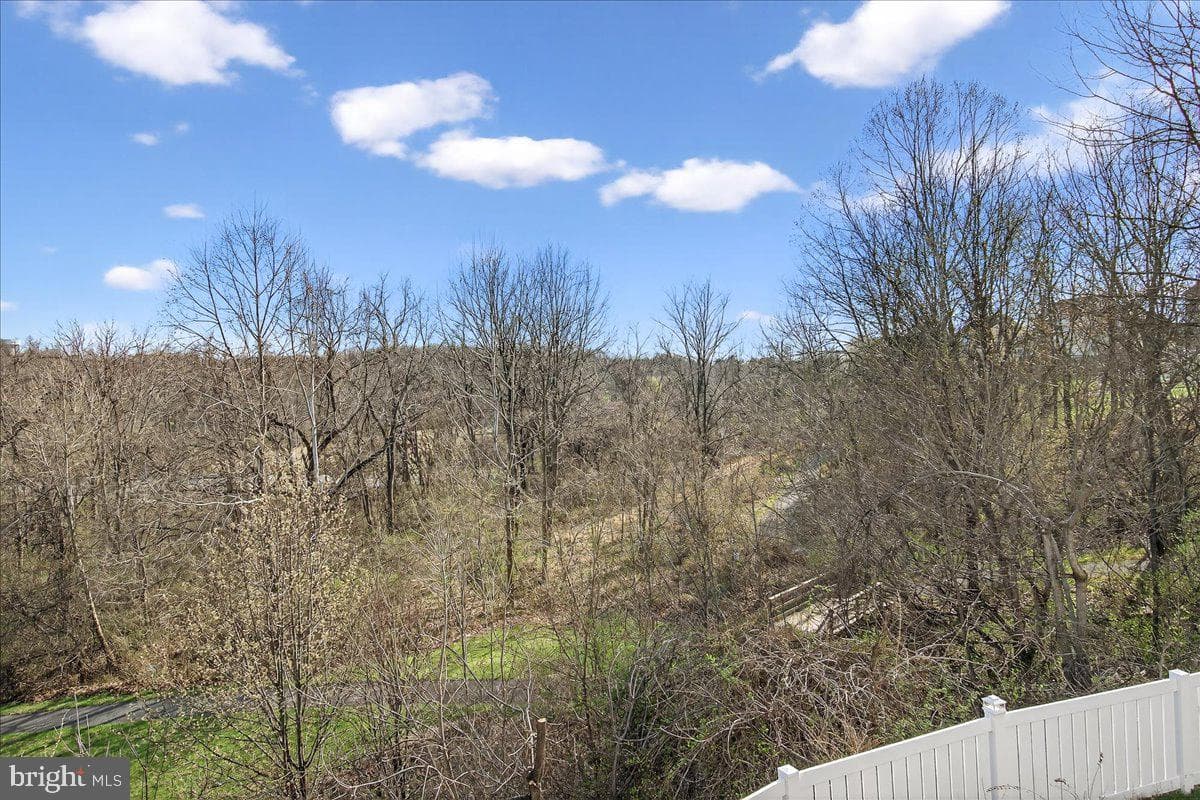 108 Spring Blossom Lane photo 58