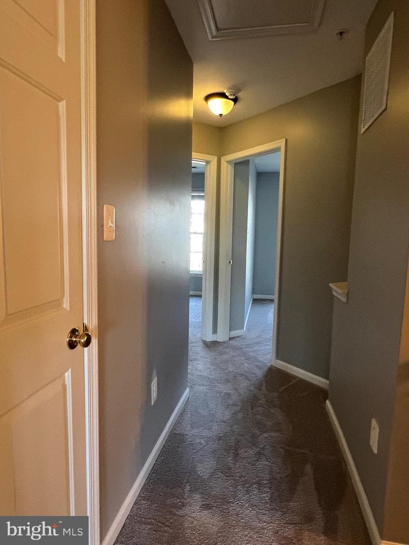 131 Fiona Way photo 43