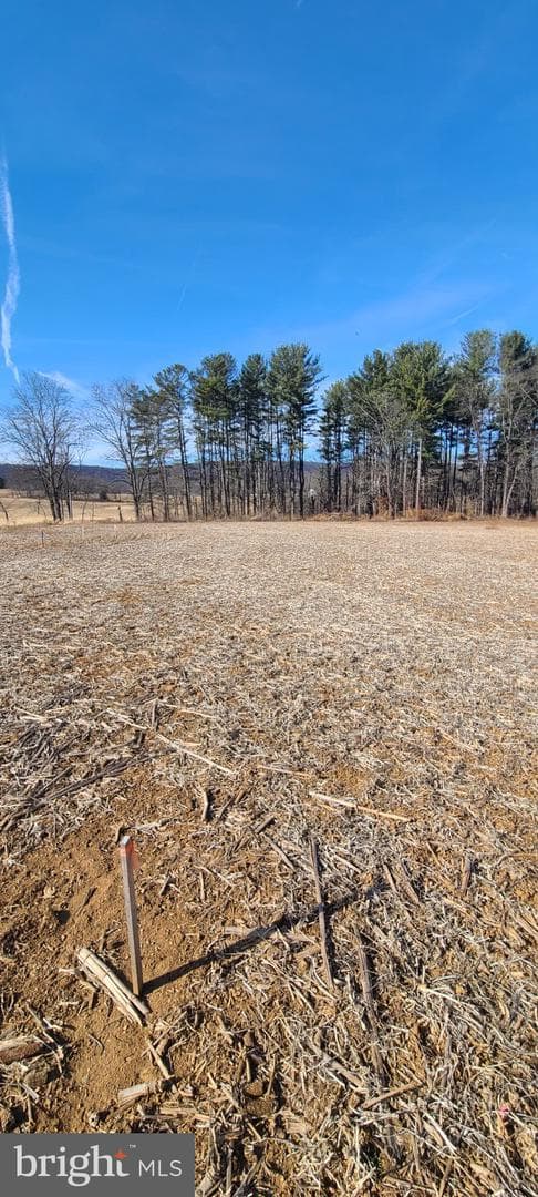 12417 Pleasant Walk Road photo 11