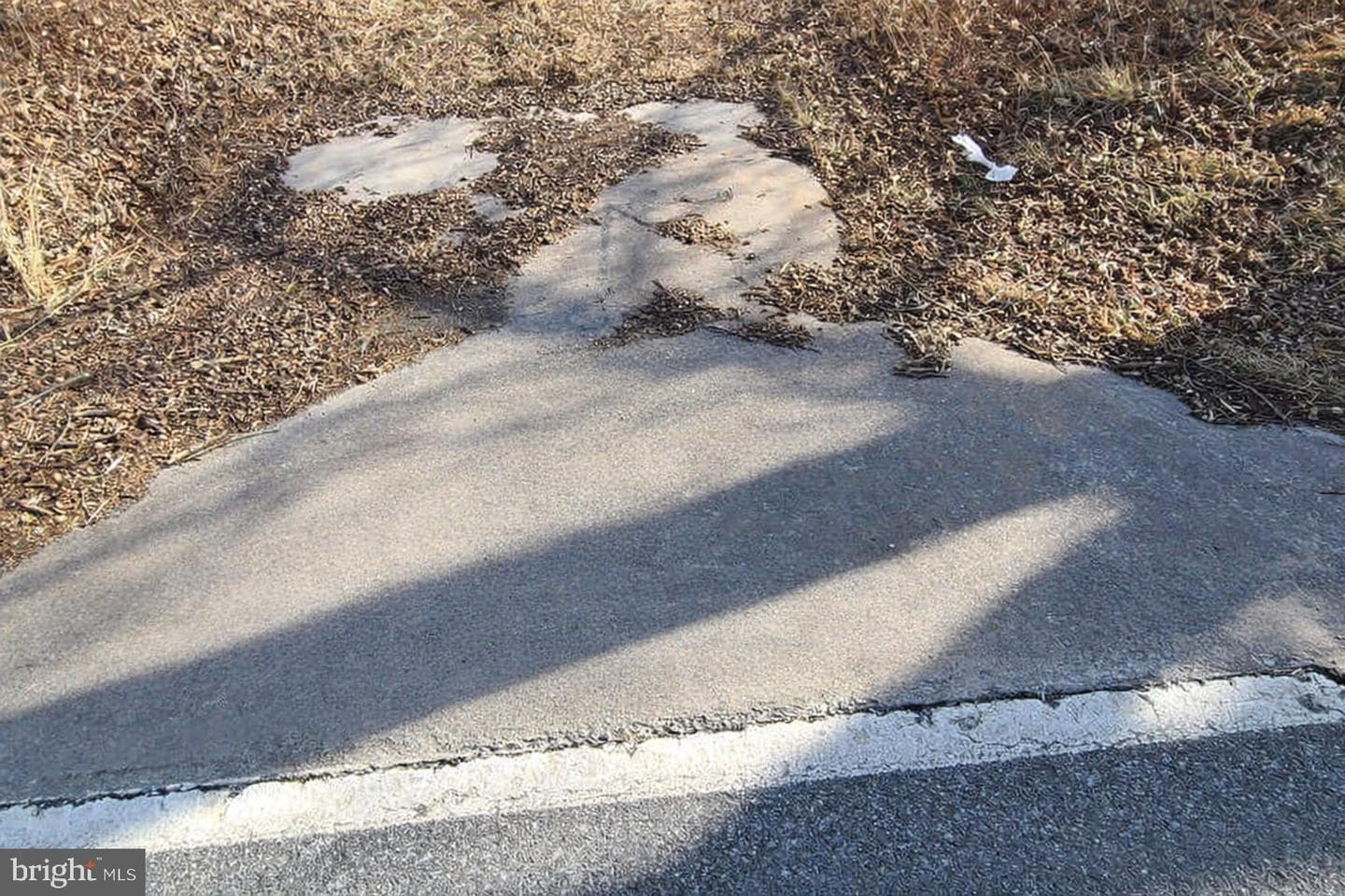 12417 Pleasant Walk Road photo 13