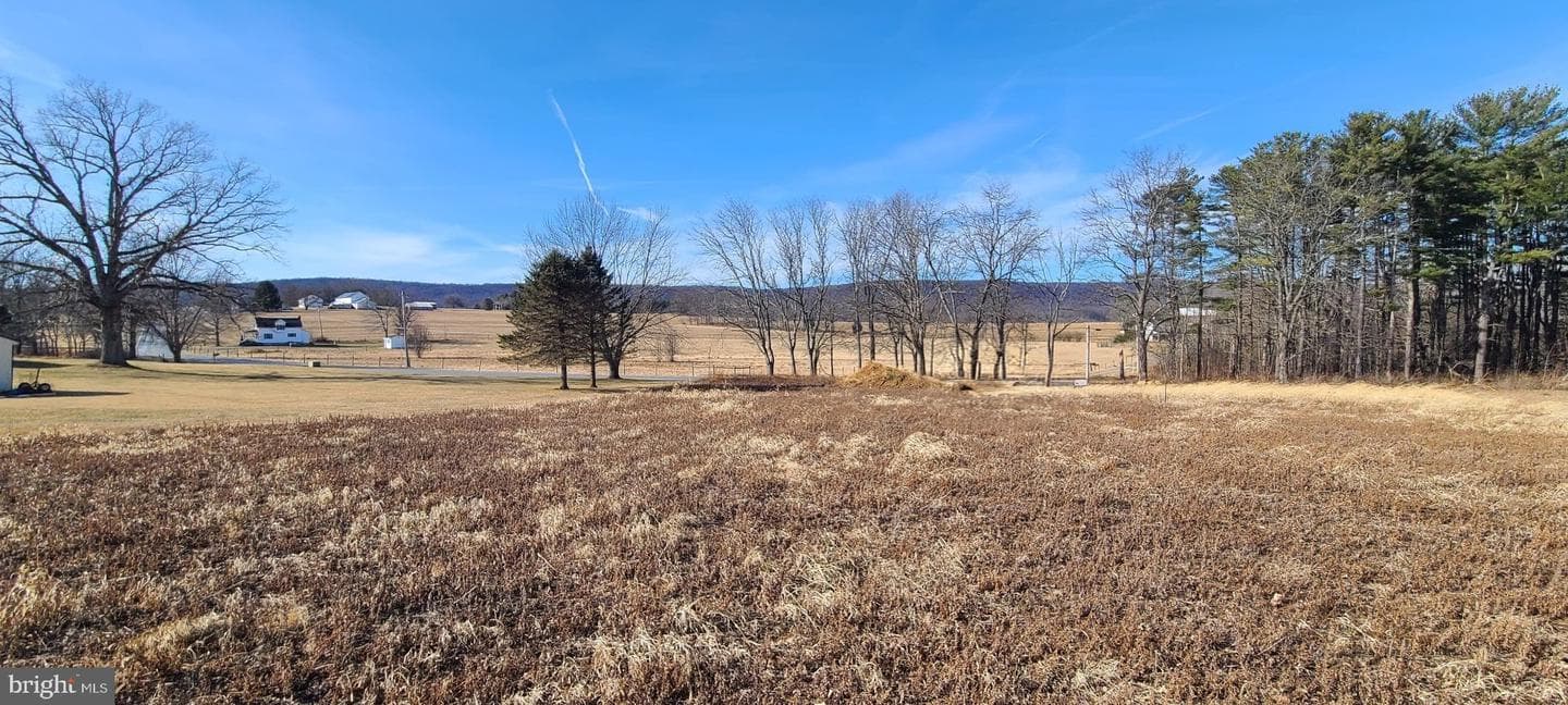 12417 Pleasant Walk Road photo 5