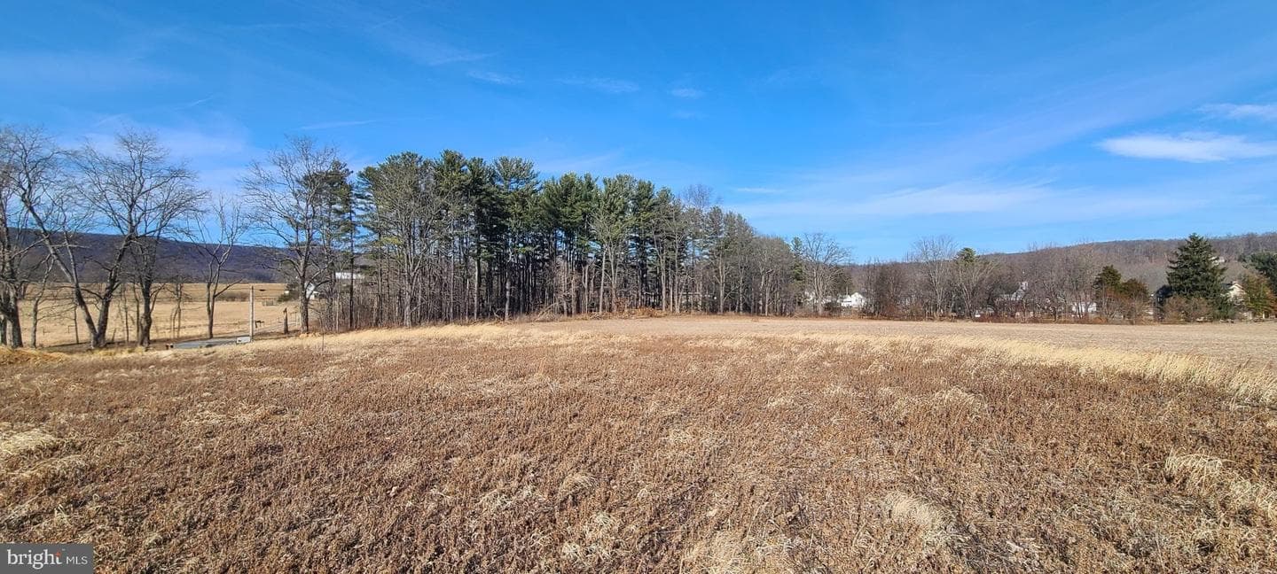 12417 Pleasant Walk Road photo 6