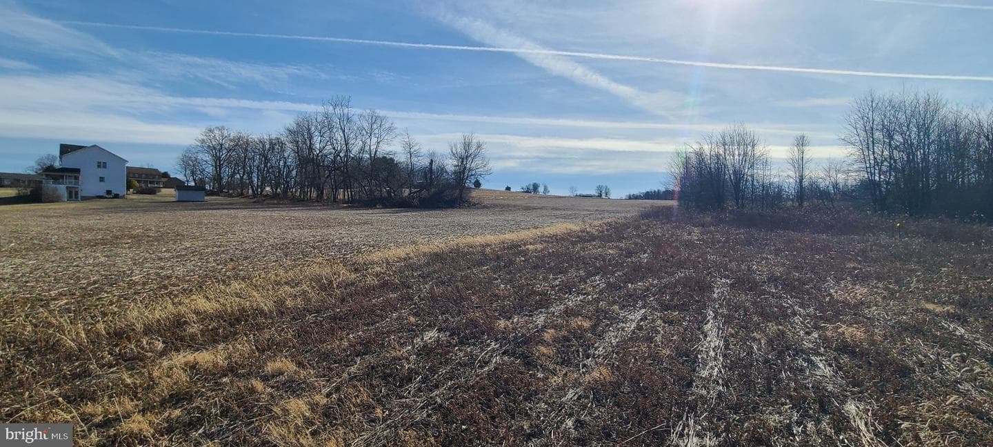 12417 Pleasant Walk Road photo 8