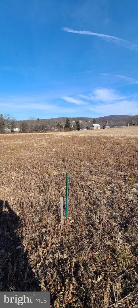 12417 Pleasant Walk Road photo 9