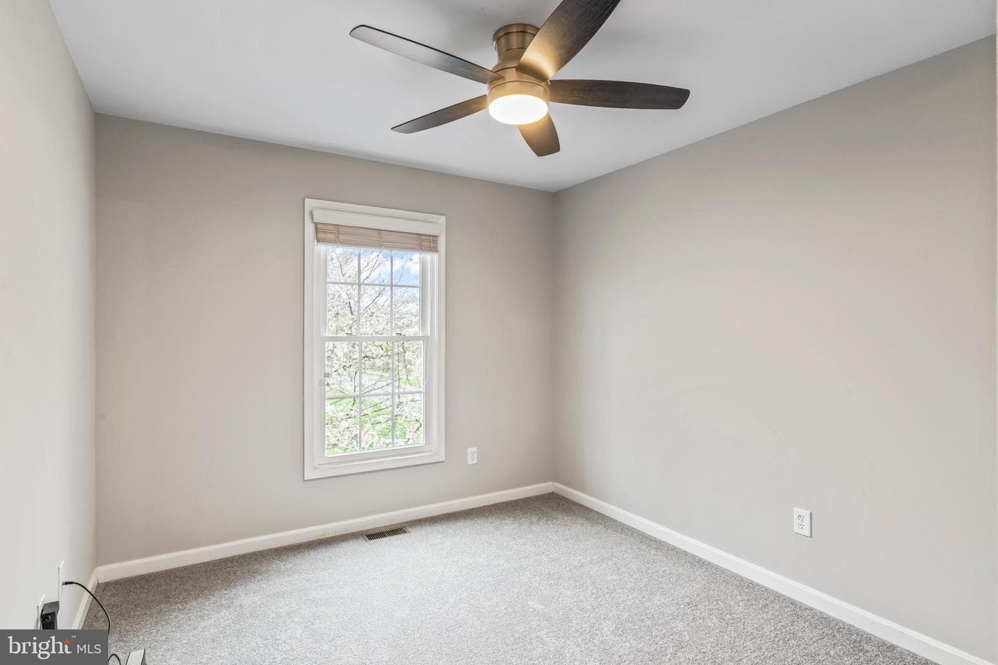 3838 Carriage Hill Drive photo 48