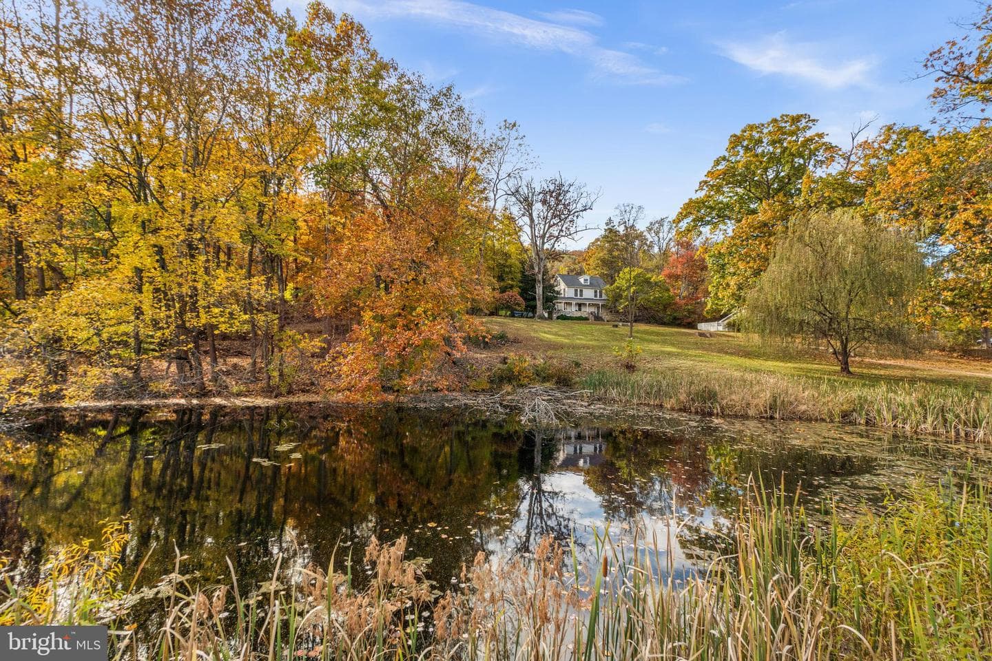 16916 Annandale Road photo 3