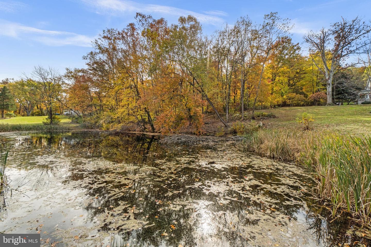 16916 Annandale Road photo 47