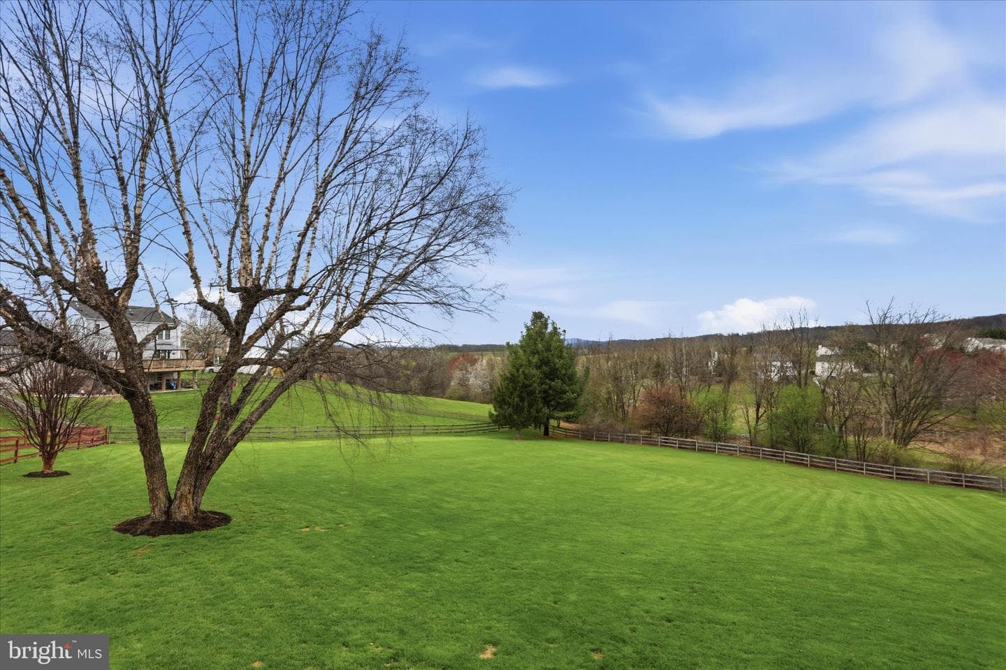 4908 Shelburne Court photo 39