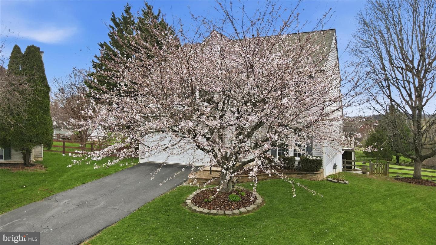 4908 Shelburne Court photo 43