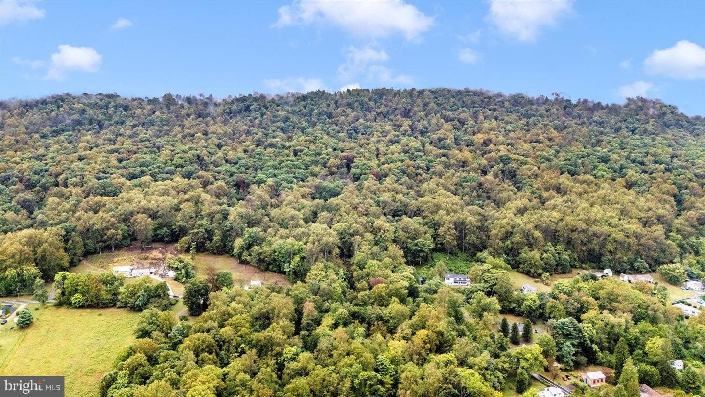 6838 Mountain Church Road photo 49