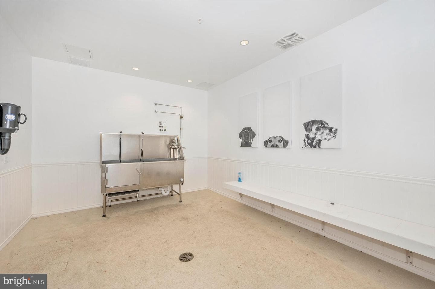 1621 Hobble Trail photo 61