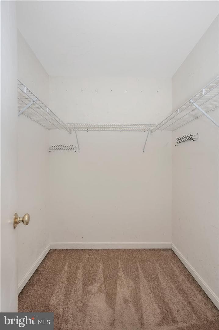 4946 Whitney Terrace photo 24