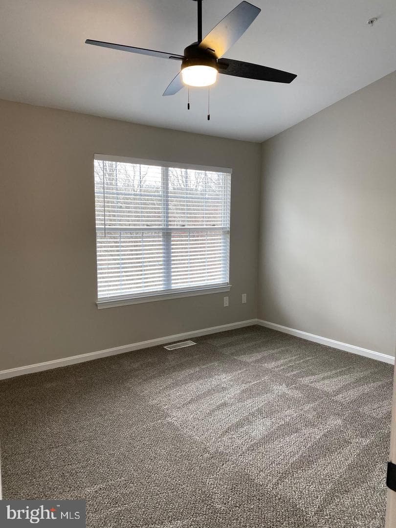 8806 Briarcliff Lane photo 16