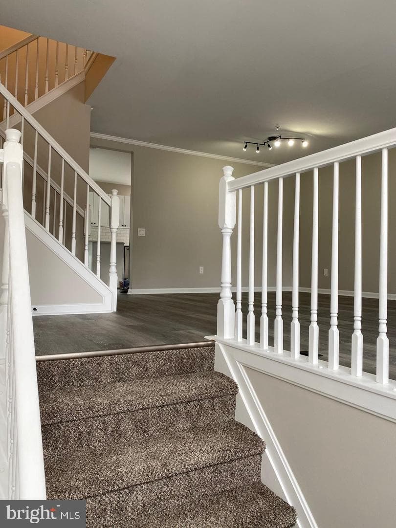 8806 Briarcliff Lane photo 5