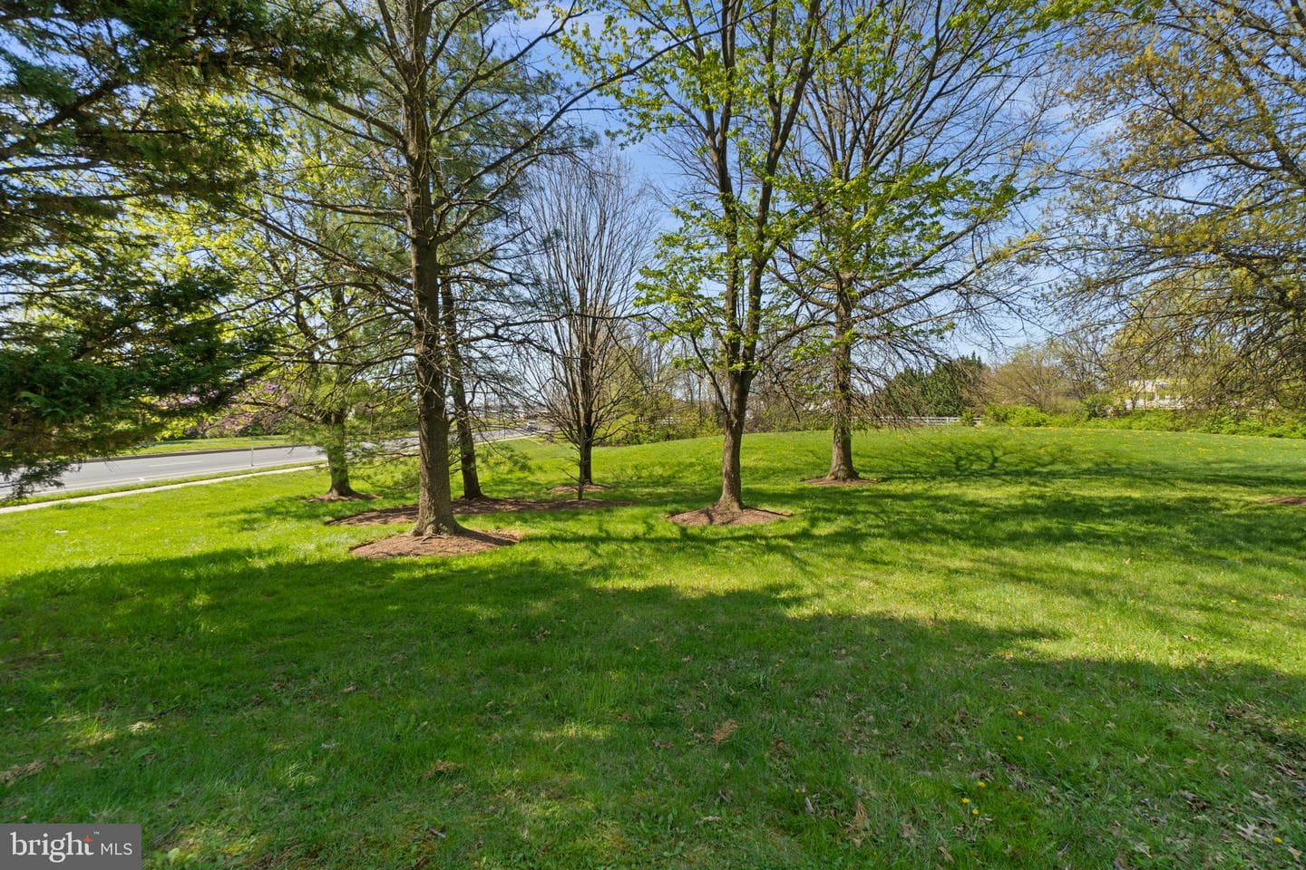 4900 Arctic Tern Court photo 28