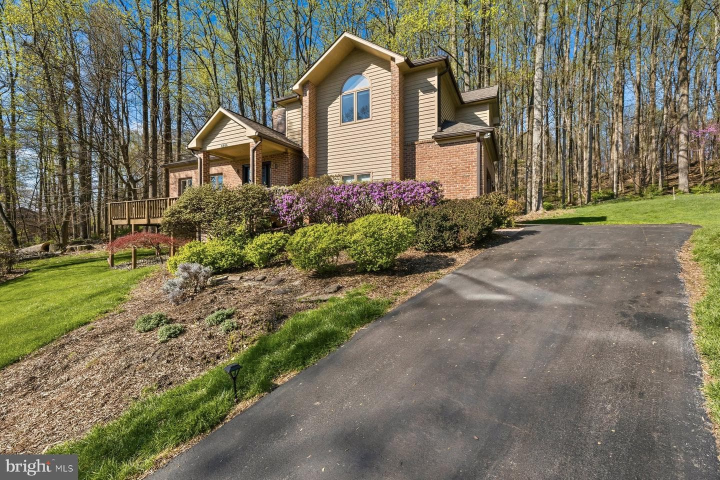 6806 Forest Park Court photo 44