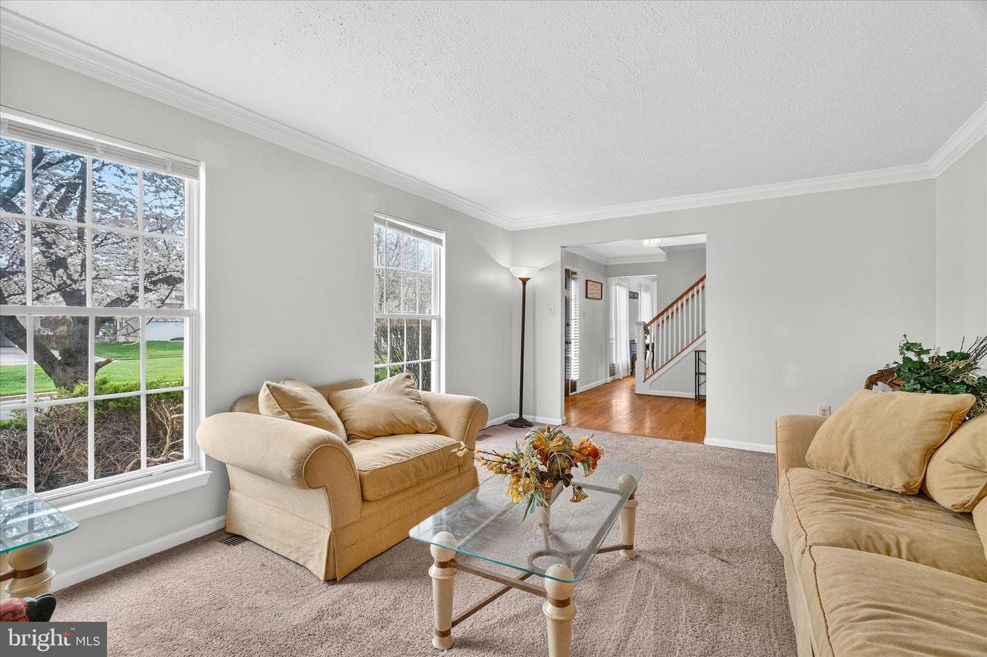 5348 Saint James Place photo 22
