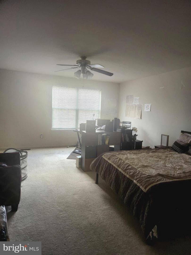 5086 Stapleton Terrace photo 15