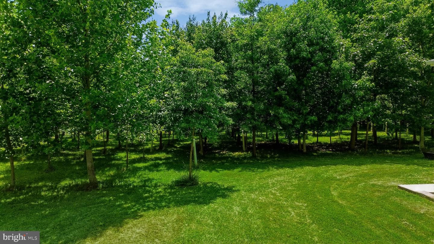 6328 Boyers Mill Road photo 24