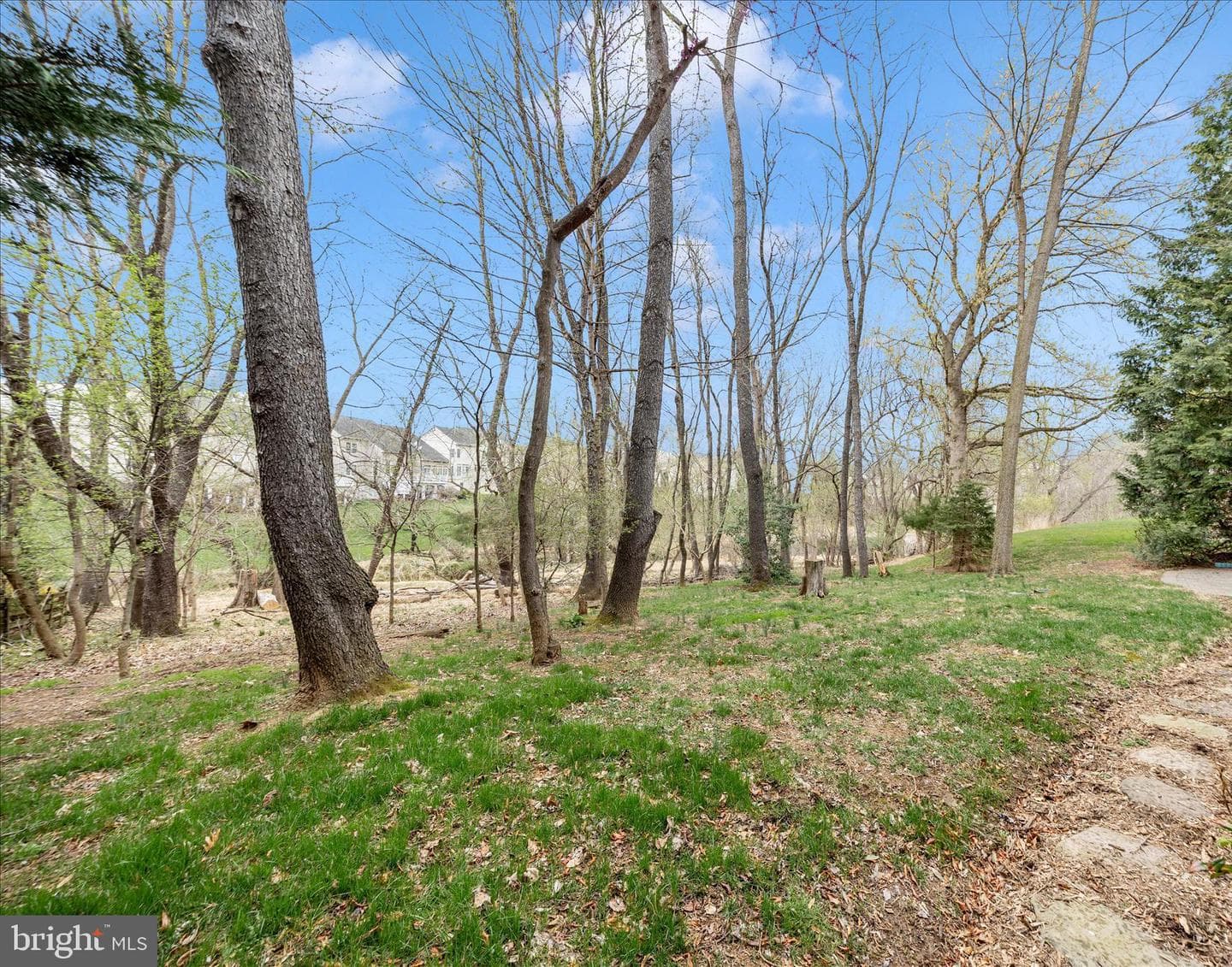9102 Travener Circle photo 12