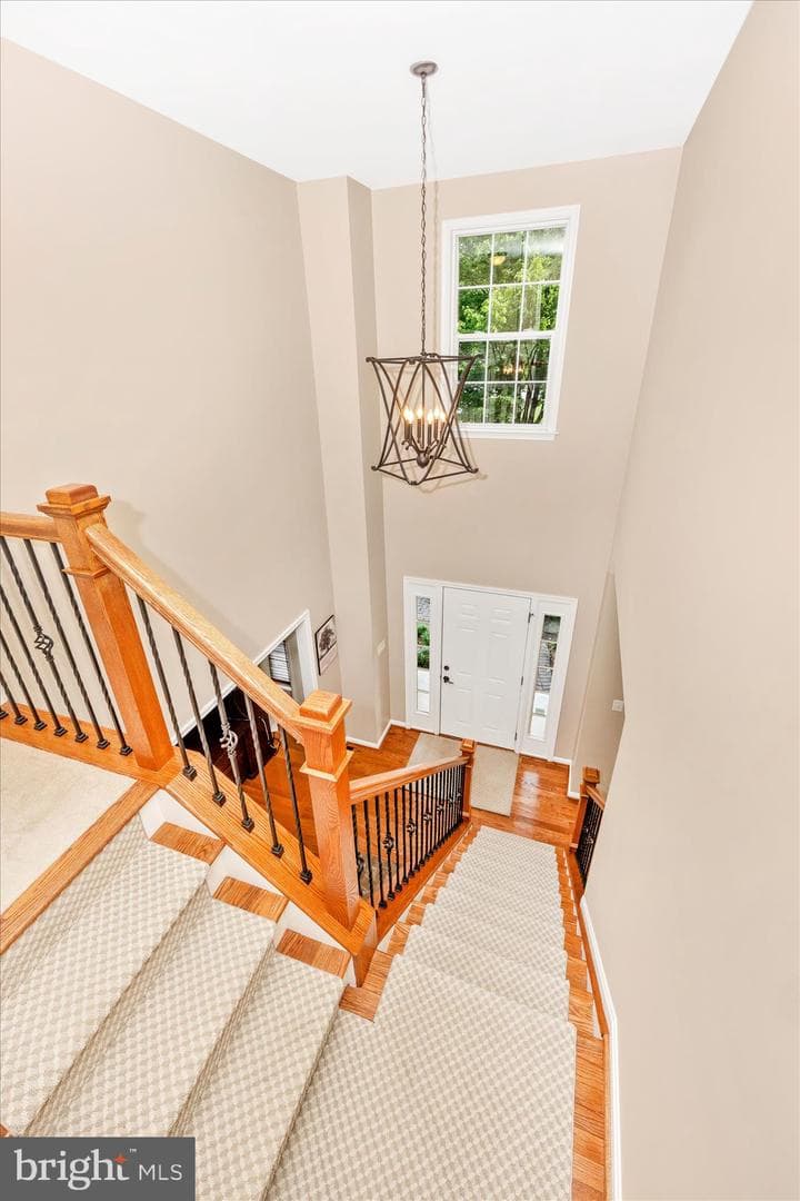 402 Leafy Hollow photo 7