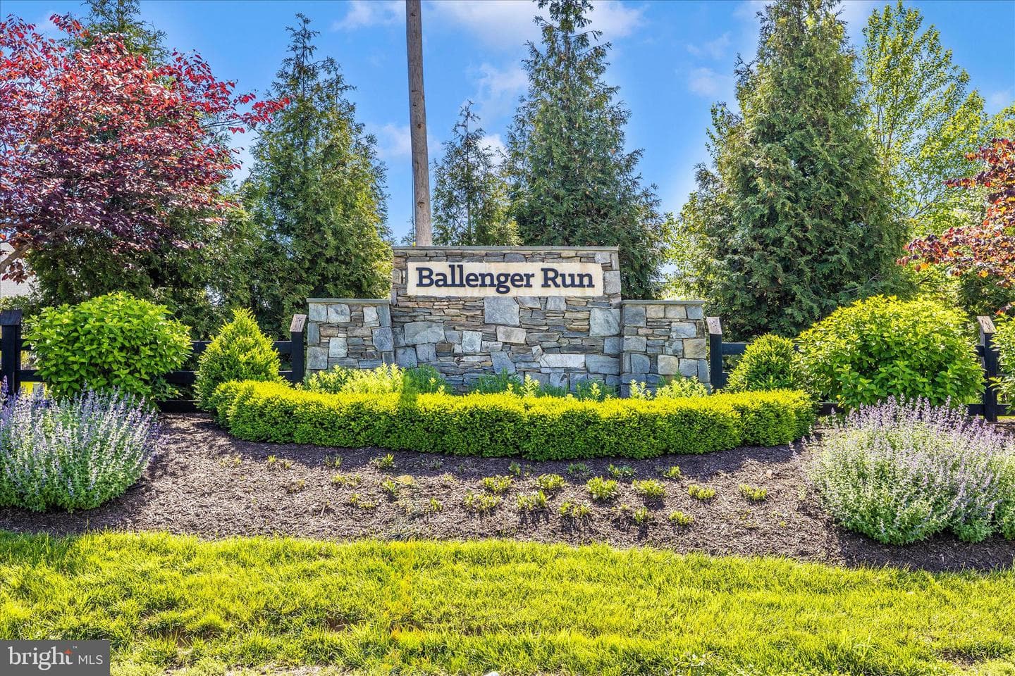 6443 Autumn Olive Drive photo 47