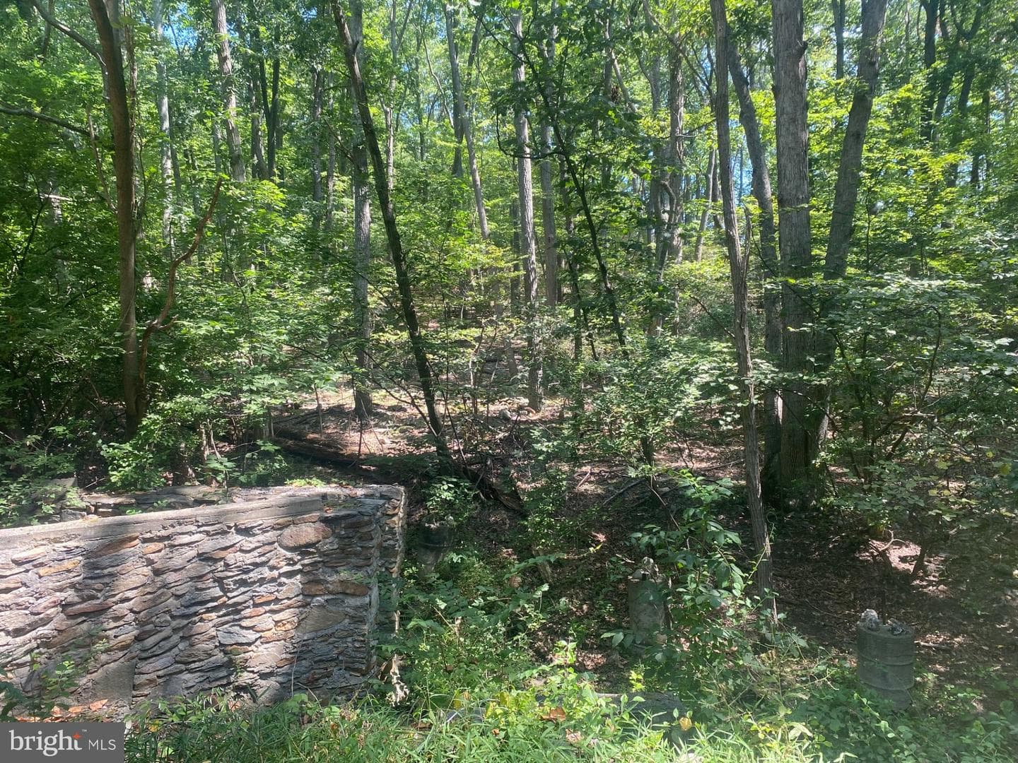 7125 Edgemont Road photo 24