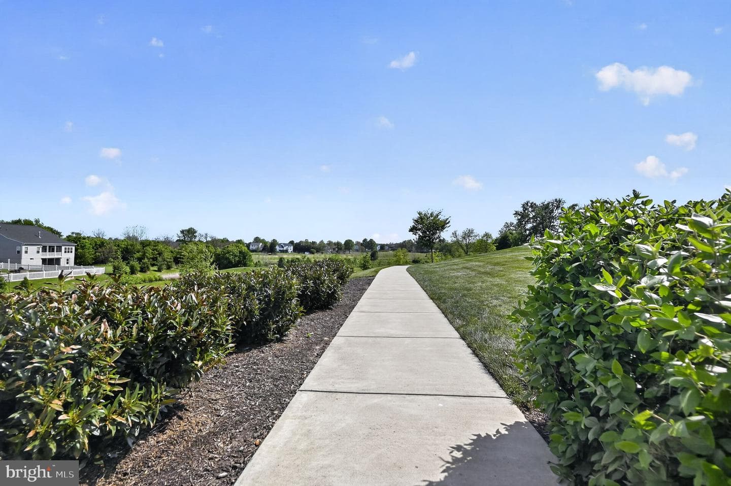 6638 Ballenger Run Boulevard photo 27