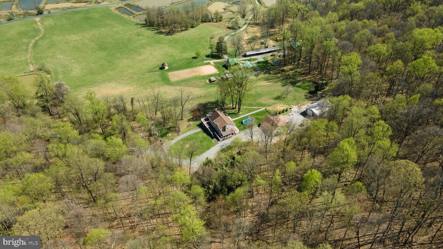 10812 Putman Road photo 58