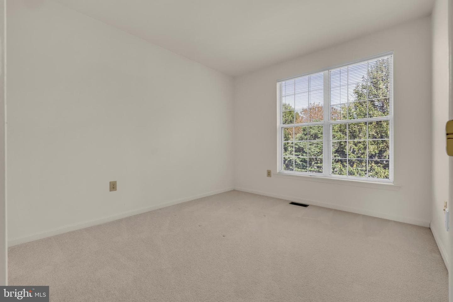 1027 Dulaney Mill Drive photo 47