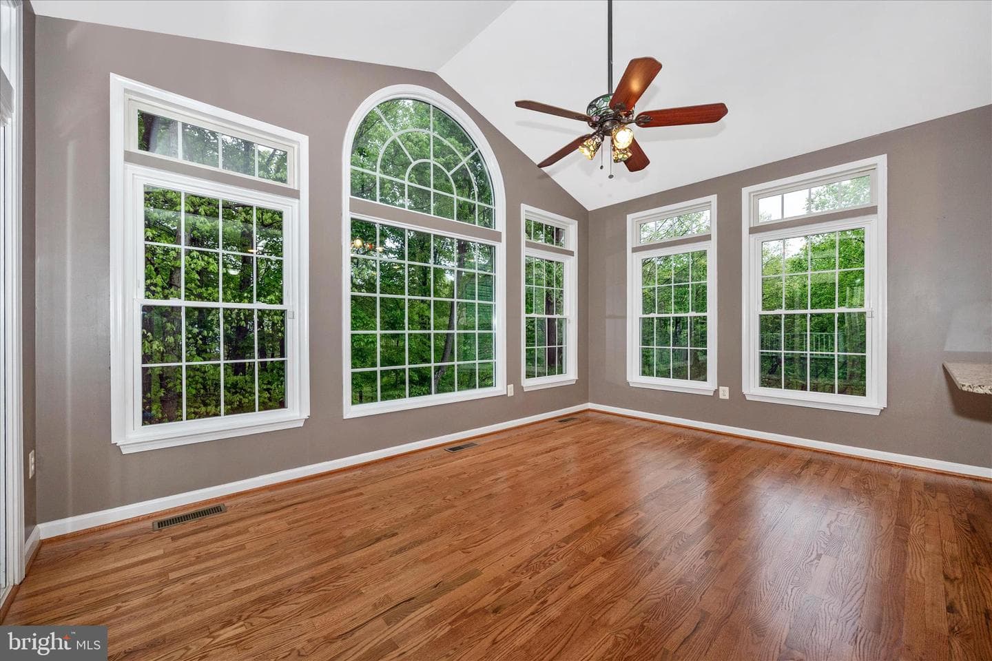 6463 Forest Hills Court photo 12