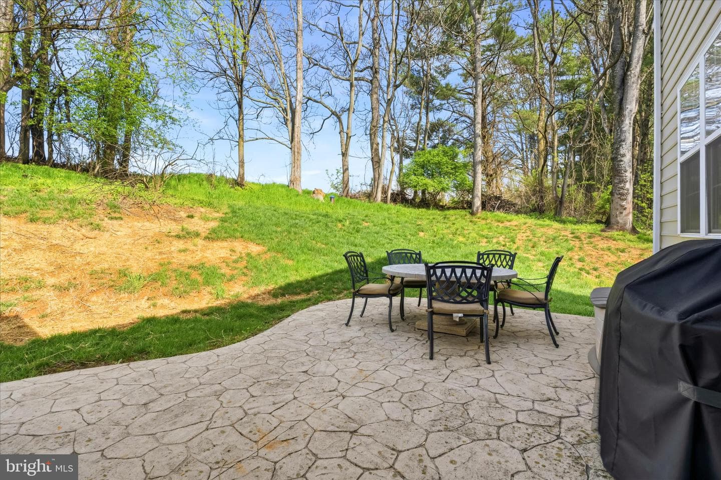 10848 Wolfsville Road photo 56