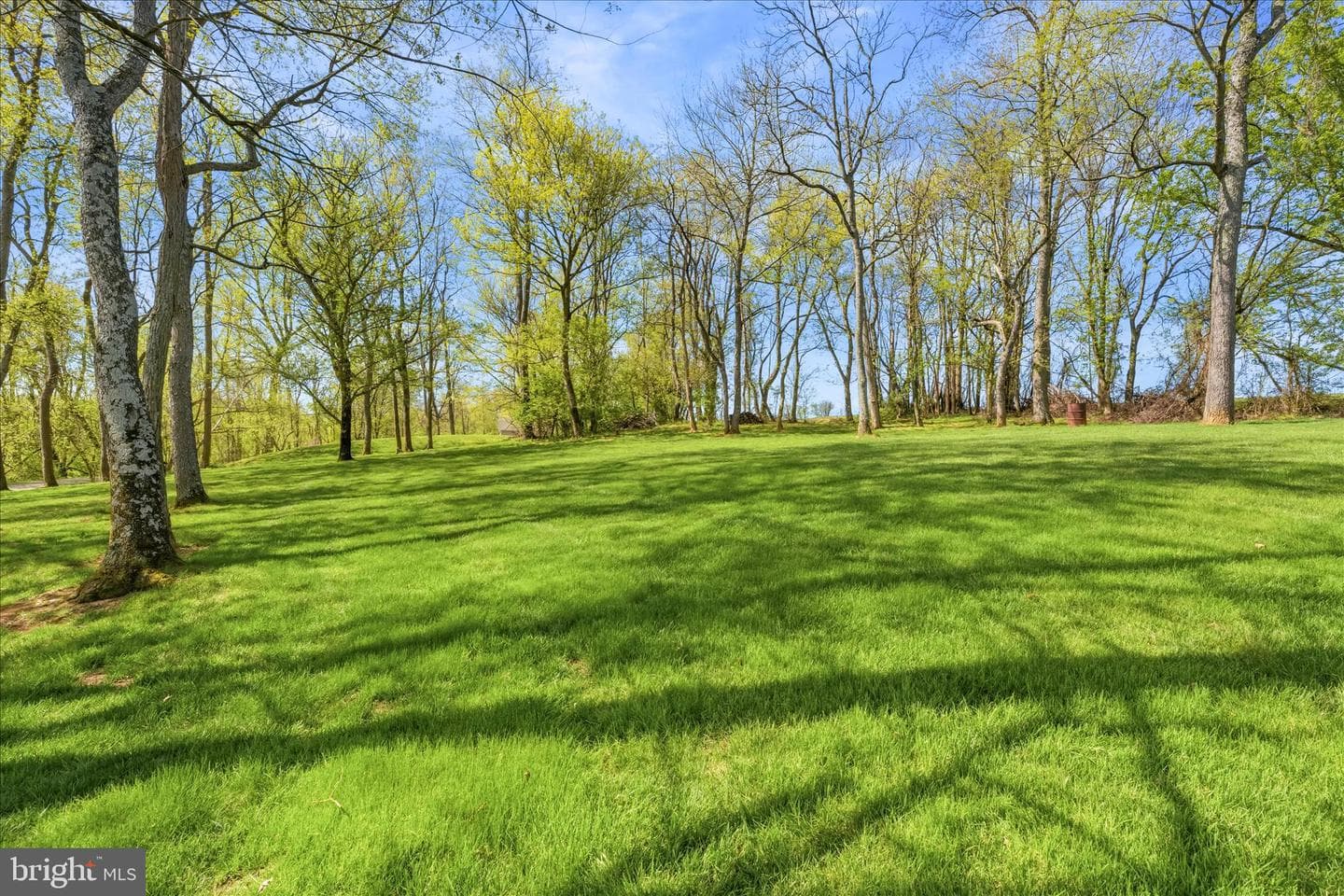 10848 Wolfsville Road photo 60