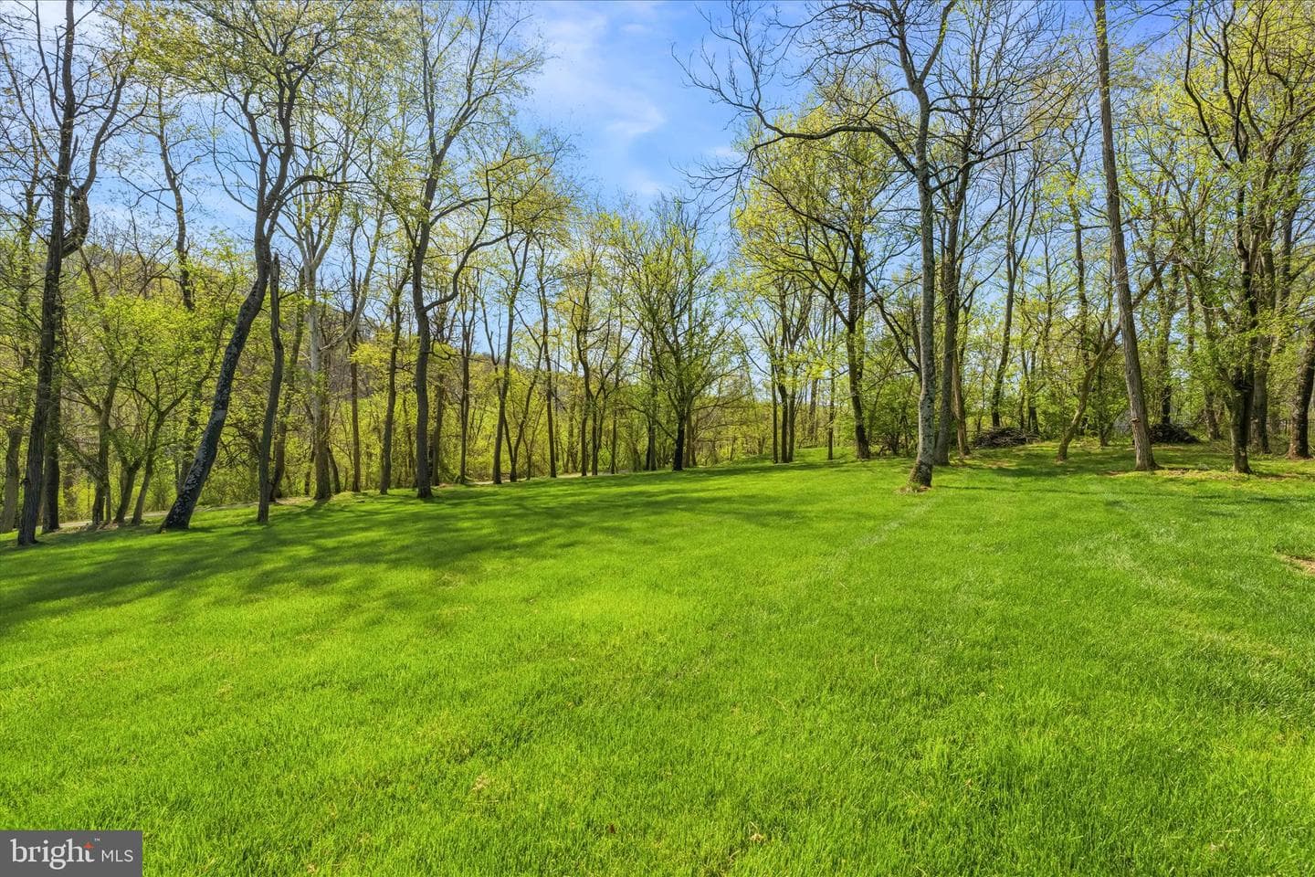 10848 Wolfsville Road photo 61
