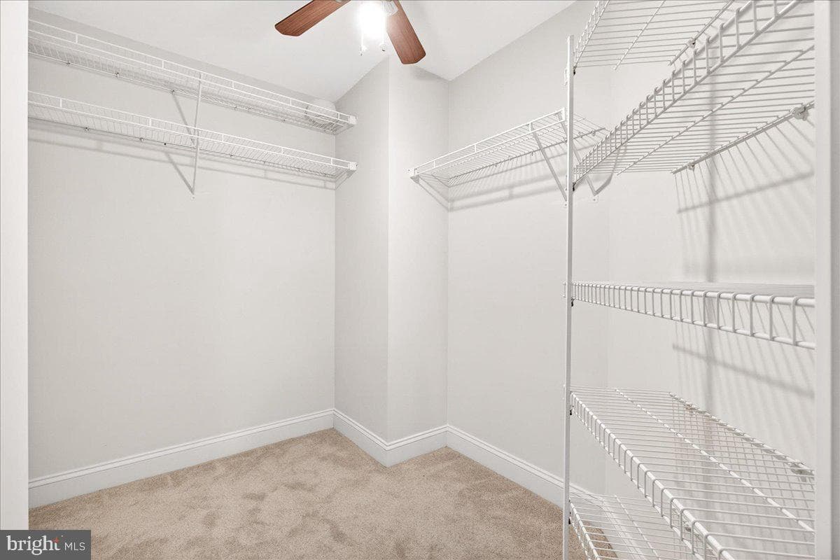 11 Rosewood Court #101 photo 22