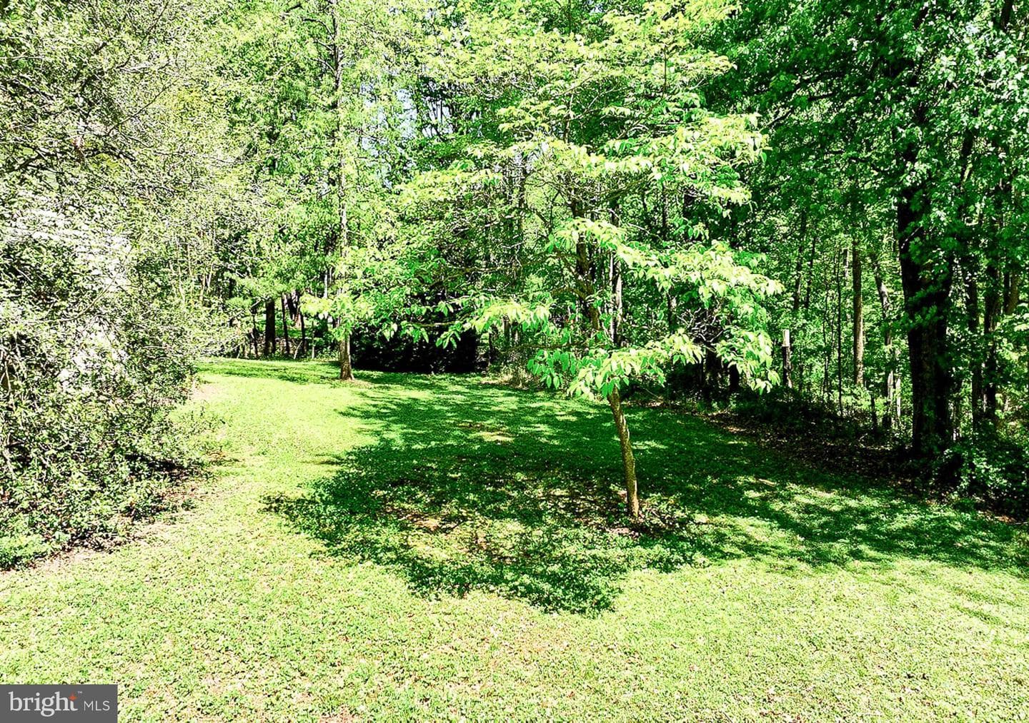 15601 Wildrose Court photo 32