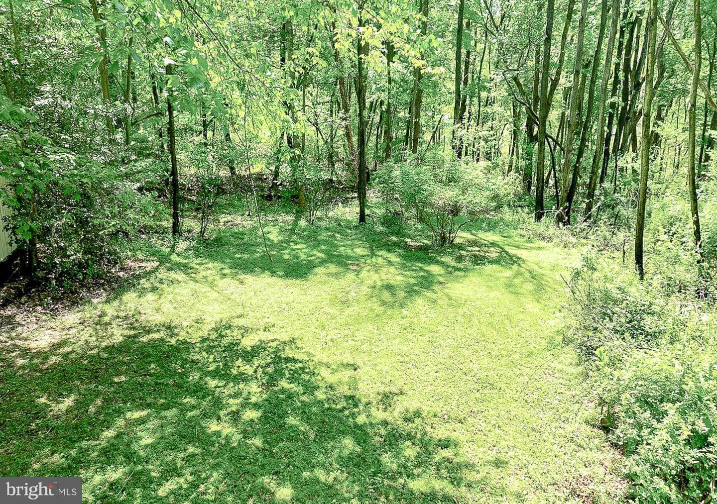 15601 Wildrose Court photo 34