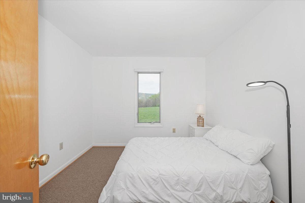 6540 Picnic Woods Road photo 36