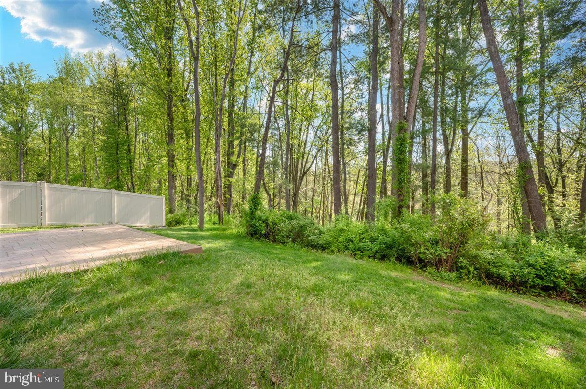 6113 Stonecat Court photo 54