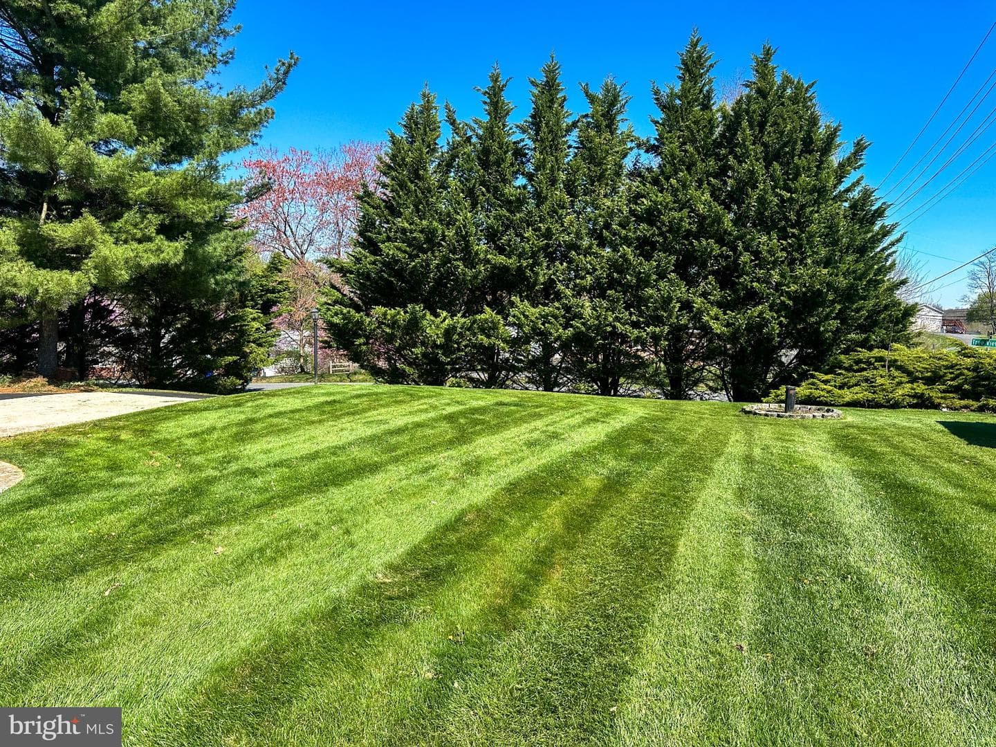 11307 Treeview Lane photo 54