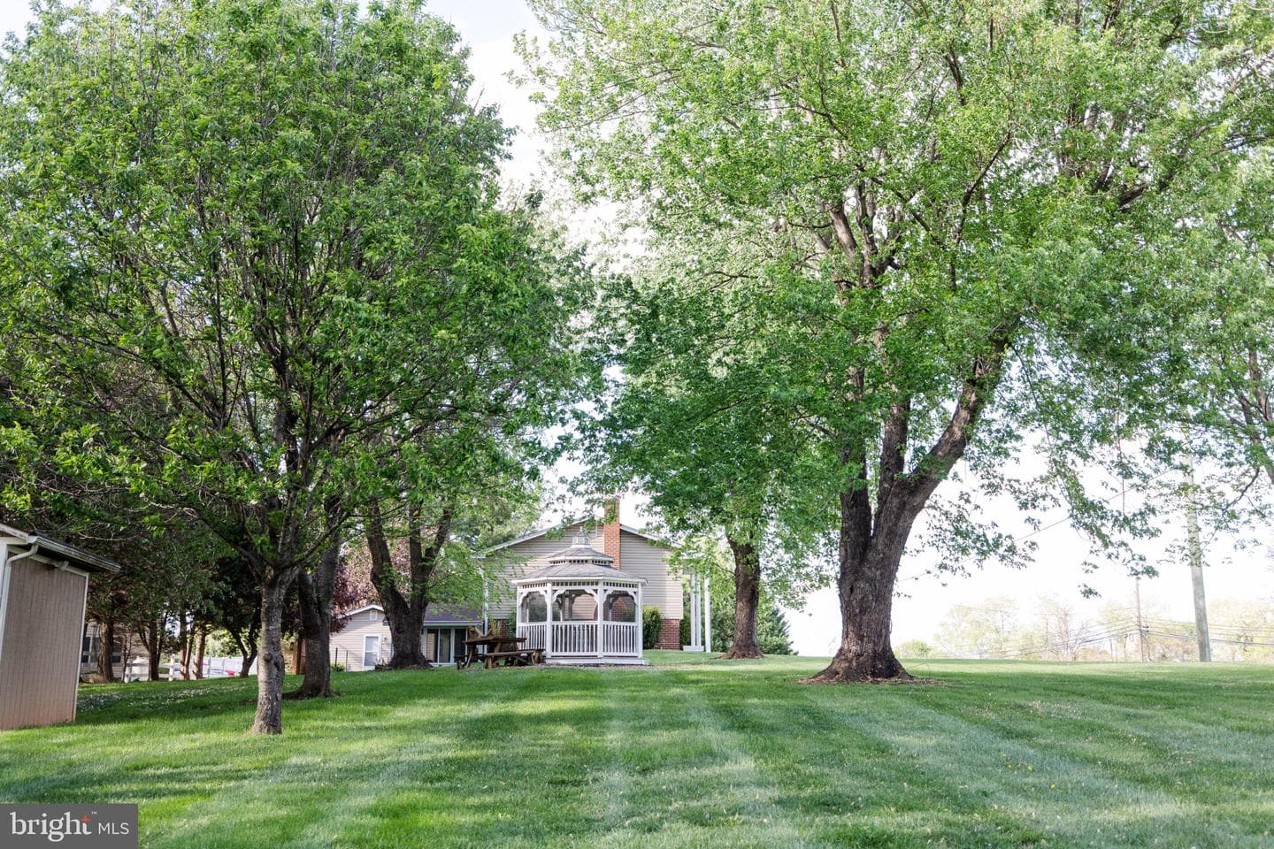 11307 Treeview Lane photo 59