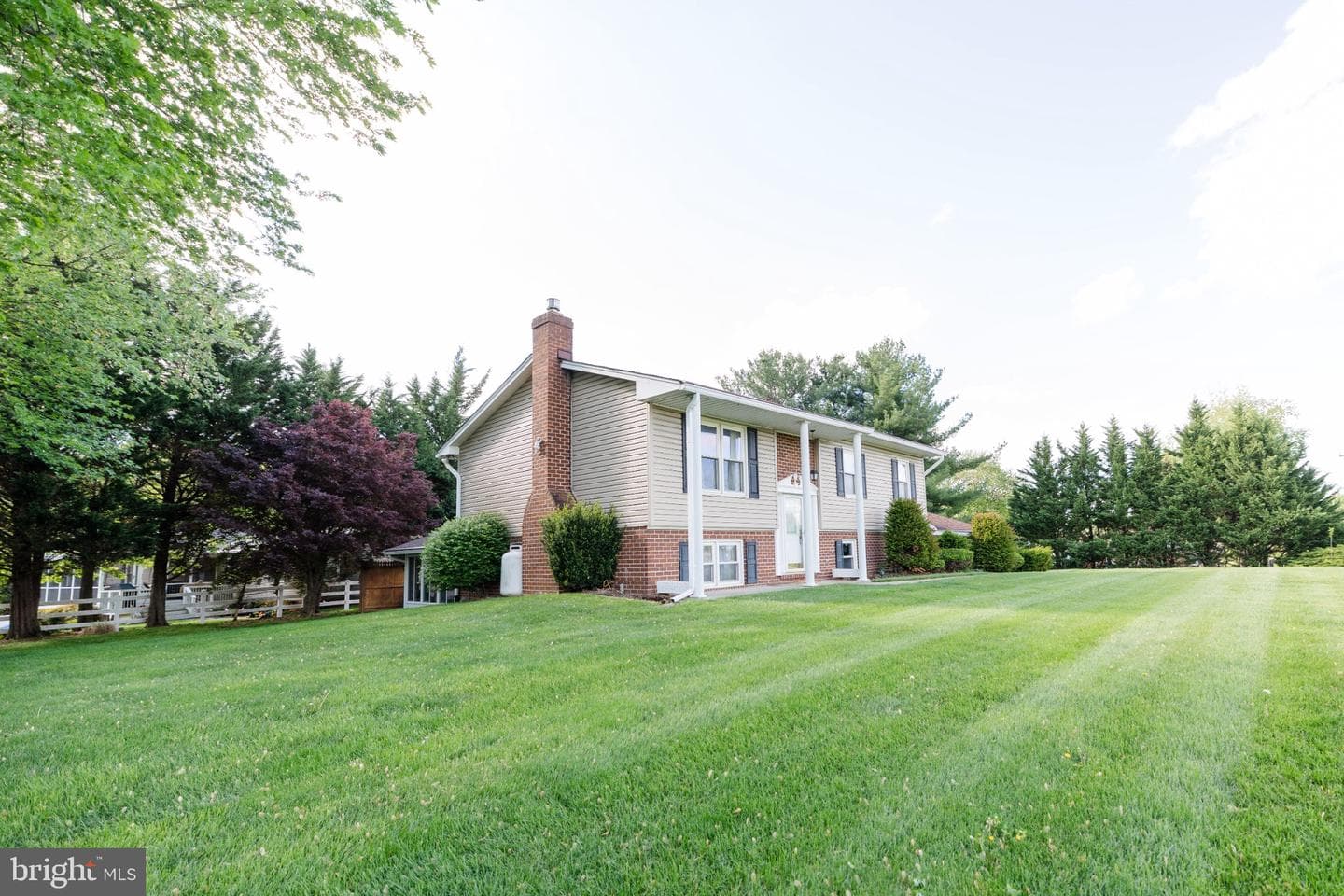 11307 Treeview Lane photo 64