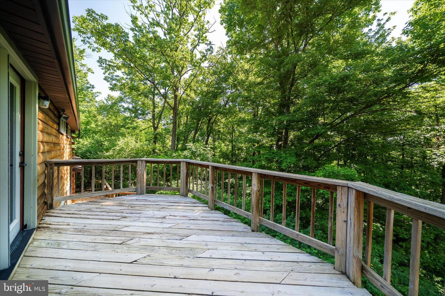 4509 Shaff Lane photo 39